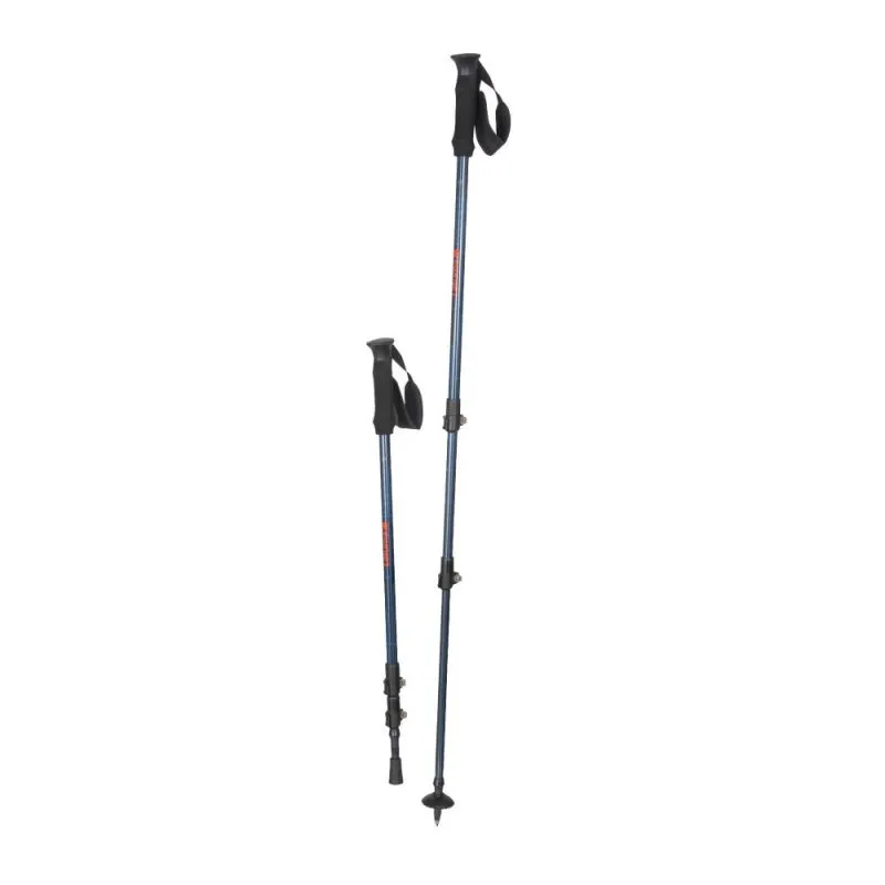 Bastoncini da trekking Lafuma Access Pairs (Shadow blue)